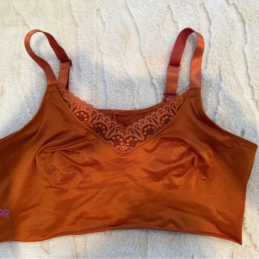 Ruby Ribbon Demiette Rust Color - image 1